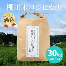 新潟県上越産米/令和4年/山間地で育てた「棚田米 コシヒカリ 精米30kg」(10kg×3袋)