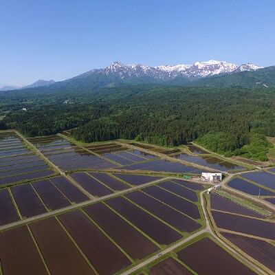百名山が育む水の米「つきあかり 玄米20kg(1袋)」令和5年産「上越市中郷区岡沢産」農家直送