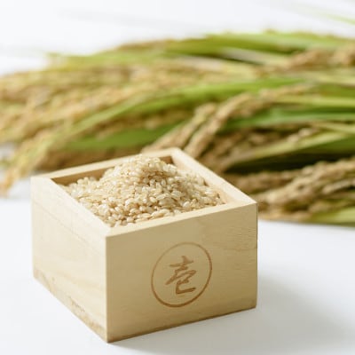 百名山が育む水の米「みずほの輝き 玄米20kg(1袋)」令和5年産「上越市中郷区岡沢産」農家直送