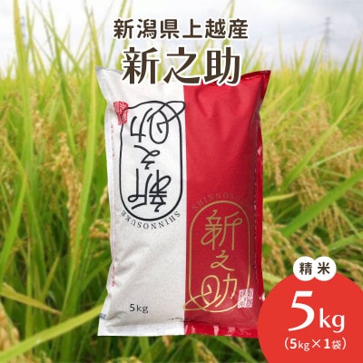 令和6年・新潟県上越産|新潟ブランド米「新之助」 精米5kg