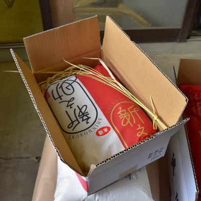 令和6年・新潟県上越産|新潟ブランド米「新之助」 精米5kg