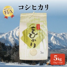 標高200mで育てた棚田米|令和4年産・新潟県上越市中郷産・従来種コシヒカリ精米5kg