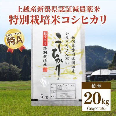 ☆数量限定☆令和5年産・新潟県上越市吉川区国田産・新潟県認証米/特別