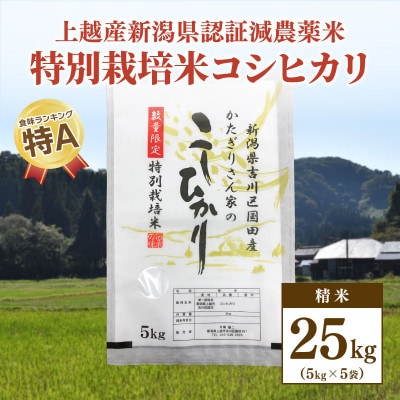 ★数量限定★令和5年産・新潟県上越市吉川区国田産・新潟県認証米/特別栽培米コシヒカリ精米25kg