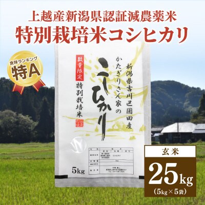 ★数量限定★令和5年産・新潟県上越市吉川区国田産・新潟県認証米/特別栽培米コシヒカリ玄米25kg