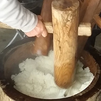 令和6年・新潟県上越産|もち米「わたぼうし」新潟県特別栽培米|5kg(白米)