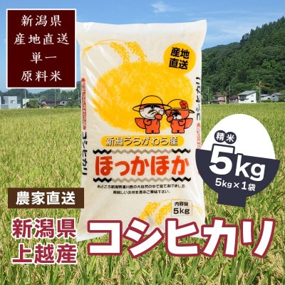 令和6年産/「新潟県産」豊かな自然で育てた上質なコシヒカリ5kg【精米5kg×1袋】