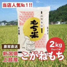 ブランドもち米「こがねもち」令和5年産 新潟県産/【精米2kg&times;1袋】