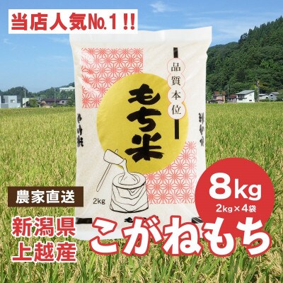 ブランドもち米「こがねもち」令和6年産 新潟県産/【精米8kg(2kg×4袋)】