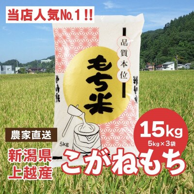 ブランドもち米「こがねもち」令和5年産 新潟県産/【精米15kg(5kg×3袋)】
