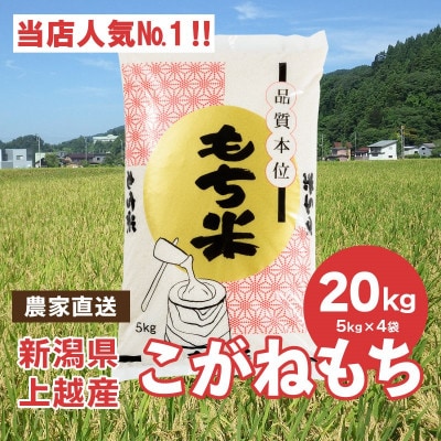 ブランドもち米「こがねもち」令和5年産 新潟県産/【精米20kg(5kg×4袋)】