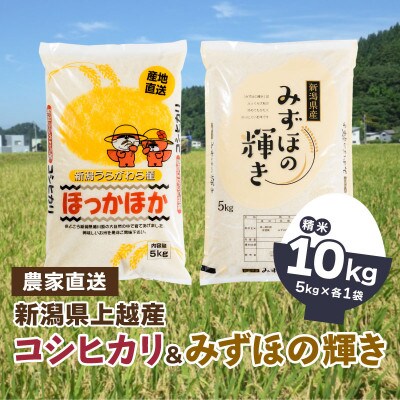 令和6年産 「新潟県産」コシヒカリ5kg×1袋/みずほの輝き5kg×1袋