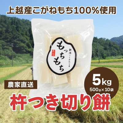 【500袋限定】杵つき切り餅「もっちもち」10袋(合計100個入り)新潟産 もち米・こがねもち100