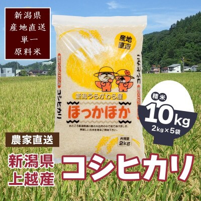 【数量限定】令和6年産|新潟県上越市浦川原産|極上の雪国米 コシヒカリ10kg(2kg×5)精米