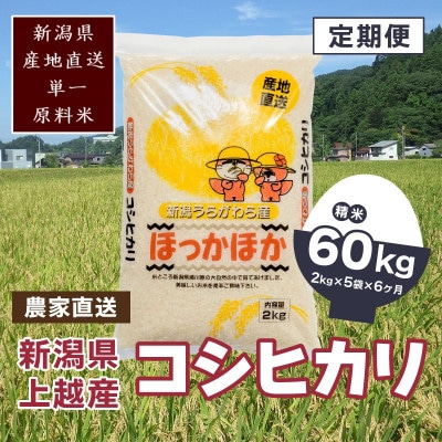 【毎月定期便】新潟県上越市浦川原産　極上の雪国米　コシヒカリ精米10kg(2kg×5)全6回