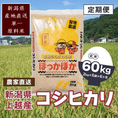 【毎月定期便】新潟県上越市浦川原産　極上の雪国米　コシヒカリ玄米10kg(2kg×5)全6回
