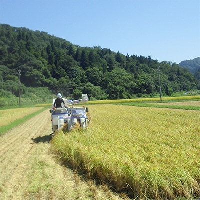 【毎月定期便】新潟県上越市浦川原産 極上の雪国米 コシヒカリ5kg玄米全6回