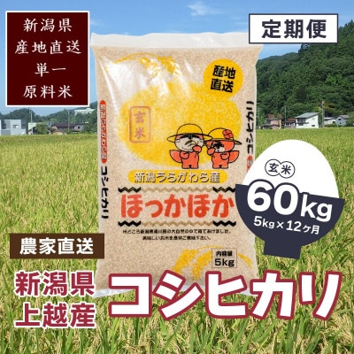 【毎月定期便】新潟県上越市浦川原産|極上の雪国米 コシヒカリ5kg玄米全12回