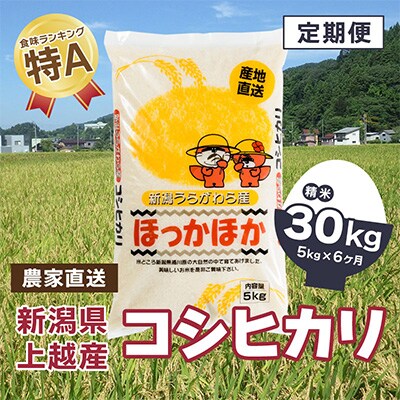 2024年1月発送開始『定期便』新潟県上越市浦川原産 コシヒカリ 精米5kg全6回