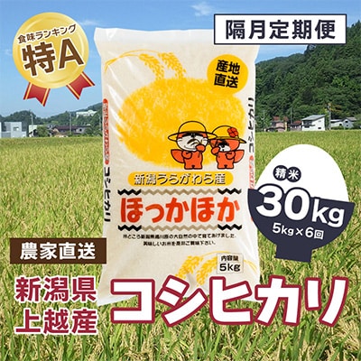 2024年1月発送開始『定期便』新潟県上越市浦川原産 コシヒカリ 精米5kg 隔月全6回