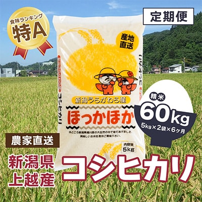 2023年2月発送開始『定期便』新潟県上越市浦川原産 コシヒカリ 精米10kg(5kg×2)全6回