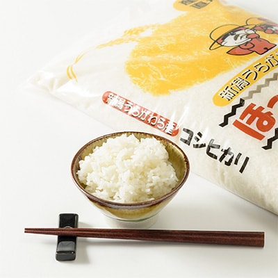 2023年2月発送開始『定期便』新潟県上越市浦川原産 コシヒカリ 精米10kg(5kg×2)全6回