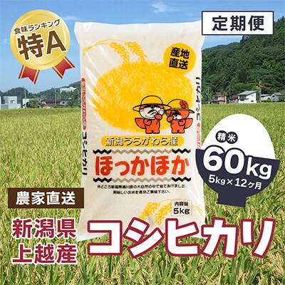 2024年1月発送開始『定期便』新潟県上越市浦川原産 コシヒカリ 精米5kg全12回