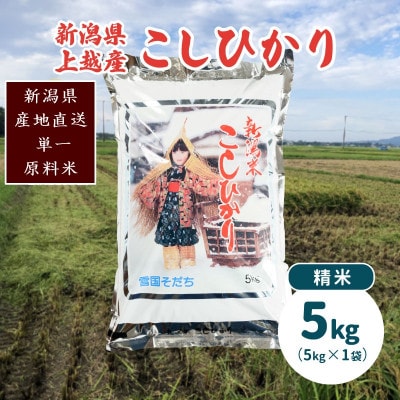 令和6年産・新潟県上越産/コシヒカリ 精米5kg(1袋)|美味安全野菜栽培士が栽培したお米