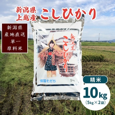 令和6年産・新潟県上越産/コシヒカリ 精米10kg(5kg×2)|美味安全野菜栽培士が栽培したお米