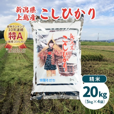 令和5年産・新潟県上越産/コシヒカリ精米 20kg(5kg×4)|美味安全野菜栽培士が栽培したお米