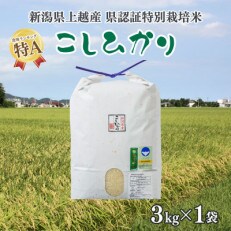令和4年産/新潟県上越産 人気のお米「新潟県認証特別栽培米コシヒカリ」精米3kg