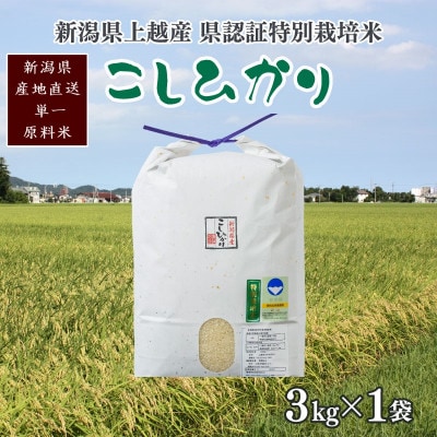 令和6年産/新潟県上越産 人気のお米「新潟県認証特別栽培米コシヒカリ」精米3kg