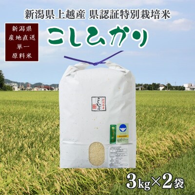 令和6年産/新潟県上越産 人気のお米「新潟県認証特別栽培米コシヒカリ」精米6kg(3kg×2袋)