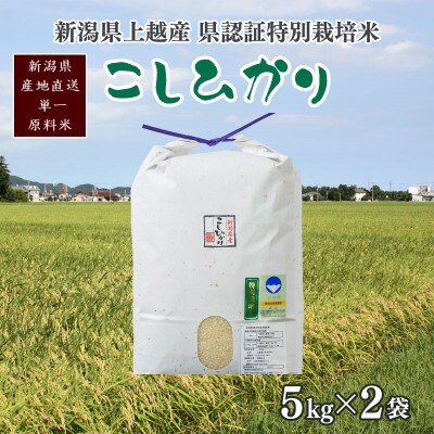 令和6年産/新潟県上越産 人気のお米「新潟県認証特別栽培米コシヒカリ」精米10kg(5kg×2袋)