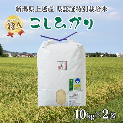 令和5年産/新潟県上越産 人気のお米「新潟県認証特別栽培米コシヒカリ」精米20kg(10kg×2袋)