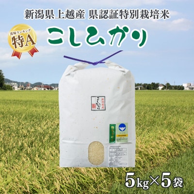 令和5年産/新潟県上越産 人気のお米「新潟県認証特別栽培米コシヒカリ」精米25kg(5kg×5袋)