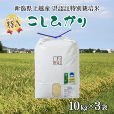 令和4年産/新潟県上越産 人気のお米「新潟県認証特別栽培米コシヒカリ」精米30kg(10kg×3袋)