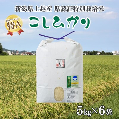 令和5年産/新潟県上越産 人気のお米「新潟県認証特別栽培米コシヒカリ」精米30kg(5kg×6袋)