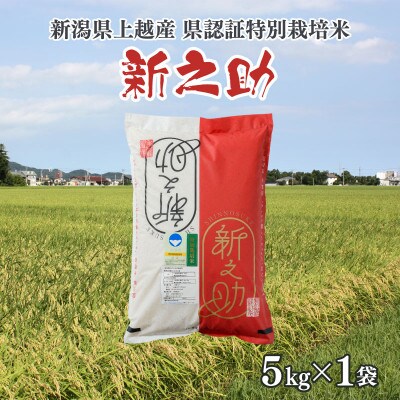 令和6年産/新潟県上越産ブランド米「新潟県認証特別栽培米・新之助」精米5kg