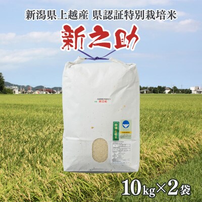 令和5年産/新潟県上越産ブランド米「新潟県認証特別栽培米・新之助」精米20kg(10kg×2袋)
