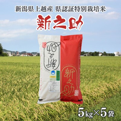 令和5年産/新潟県上越産ブランド米「新潟県認証特別栽培米・新之助」精米25kg(5kg×5袋)