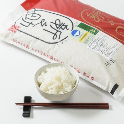 令和5年産/新潟県上越産ブランド米「新潟県認証特別栽培米・新之助」精米25kg(5kg×5袋)