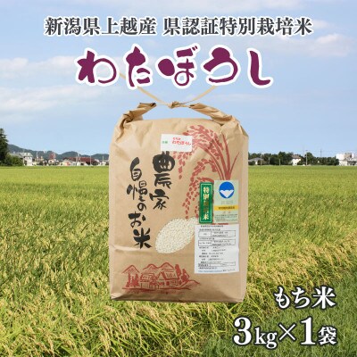 令和6年産/新潟県奨励品種「新潟県認証特別栽培米・もち米/わたぼうし」精米3kg