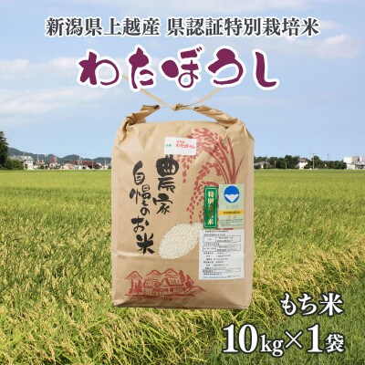 令和6年産/新潟県奨励品種「新潟県認証特別栽培米・もち米/わたぼうし」精米10kg