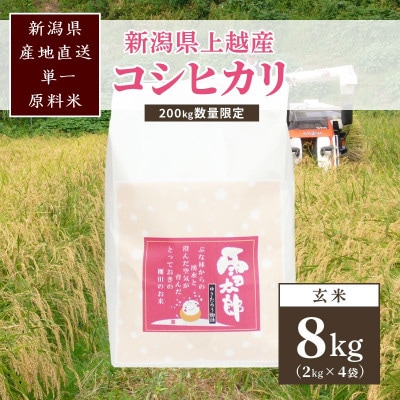【数量限定】令和6年/新潟上越産「標高480mの山間地で育てた棚田米コシヒカリ」玄米8kg