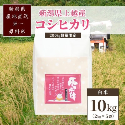 【数量限定】令和6年/新潟上越産「標高480mの山間地で育てた棚田米コシヒカリ」精米10kg