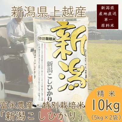 令和7年・新潟県産|特別栽培米コシヒカリ 精米10kg(富永農産)