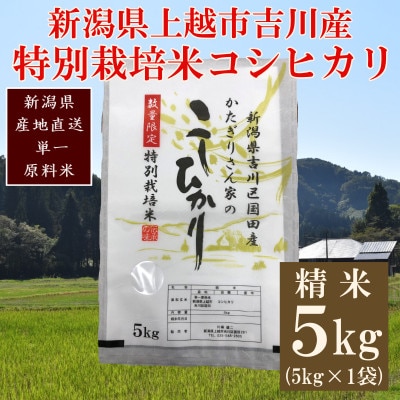 ★数量限定★令和7年産・新潟県上越市吉川区国田産・特別栽培米コシヒカリ精米5kg