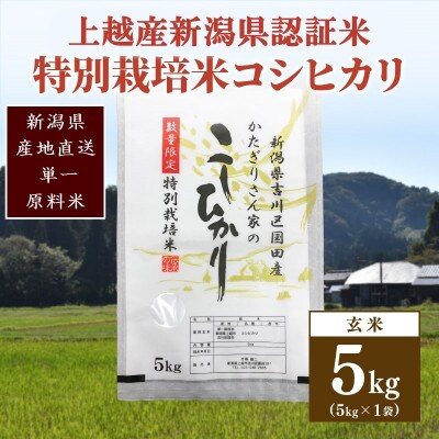 ★数量限定★令和6年産・新潟県上越市吉川区国田産・新潟県認証米/特別栽培米コシヒカリ玄米5kg