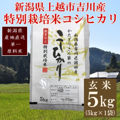 ★数量限定★令和7年産・新潟県上越市吉川区国田産・特別栽培米コシヒカリ玄米5kg